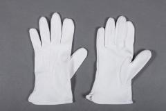 Military Gloves