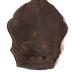 Occupational Helmet