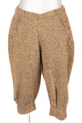 Breeches
