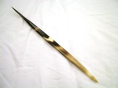 African Porcupine Quill