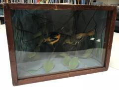 Oriole, Baltimore, School Loan Collection