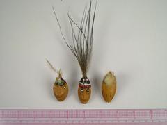 Bead Heads
