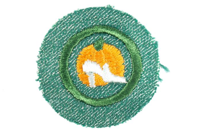 Badge