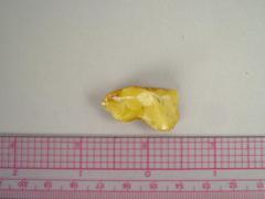Amber Fragment