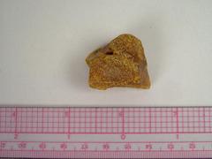 Amber Fragment
