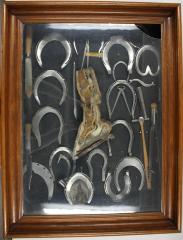 Horseshoe Exhibit Display Case