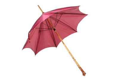 Parasol