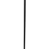 Cane