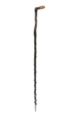 Cane