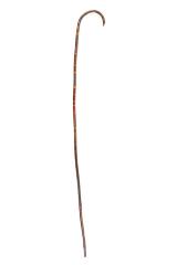Cane
