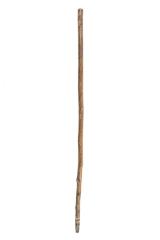 Cane
