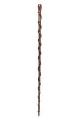 Cane
