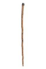 Cane