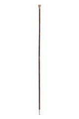 Cane