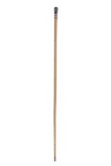 Cane