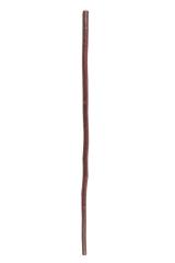 Cane