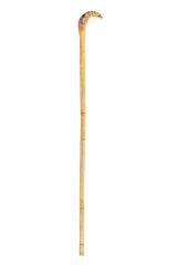 Cane