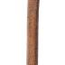 Cane