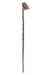 Cane