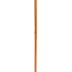 Cane