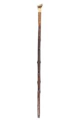 Cane