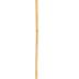 Cane
