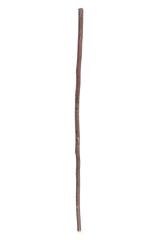 Cane