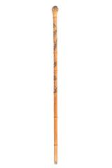 Cane