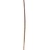Cane