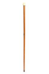 Cane