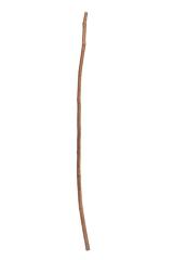 Cane