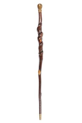 Cane