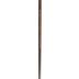 Cane