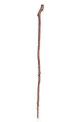 Cane
