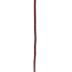 Cane