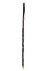 Cane