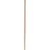 Cane