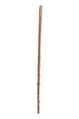 Cane