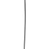 Cane