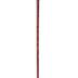 Cane