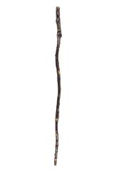 Cane