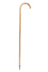 Cane