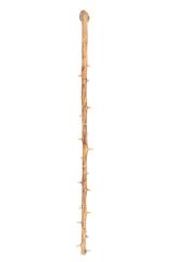 Cane