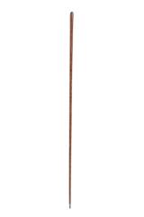 Cane