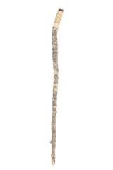 Cane