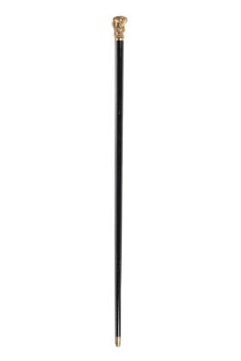 Cane