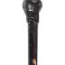 Cane Sword