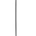 Cane Sword