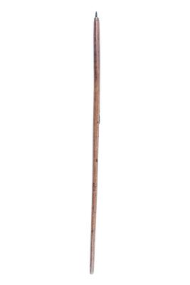 Cane Sword