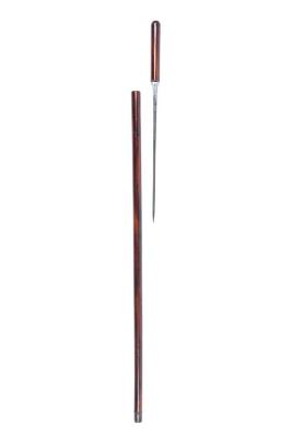 Cane Sword